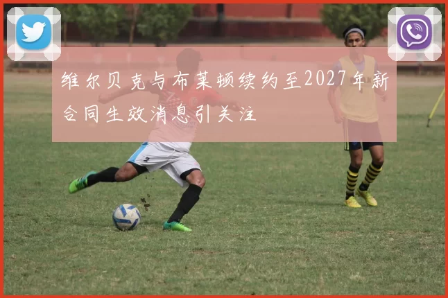 维尔贝克与布莱顿续约至2027年新合同生效消息引关注